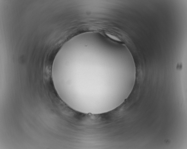 X0000112900329200909181941