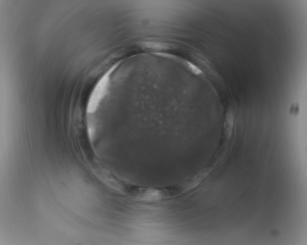 X0000112900330200909181941