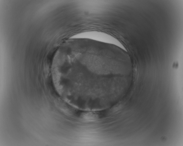 X0000112900331200909181941
