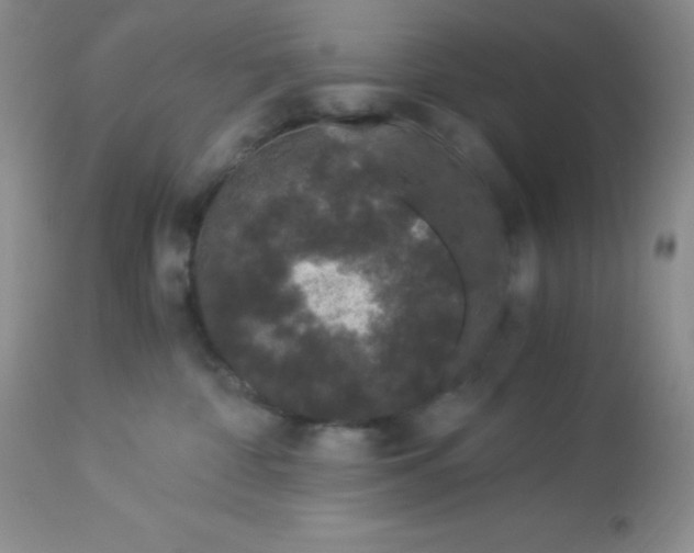 X0000112900332200909181941
