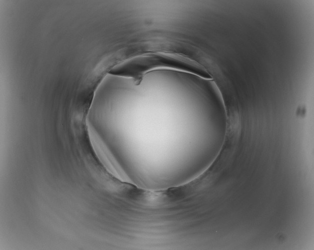 X0000112900333200909181941