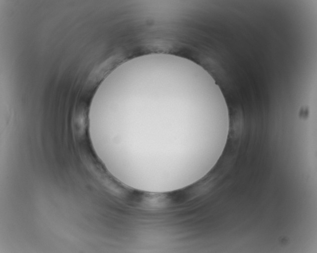 X0000112900334200909181941