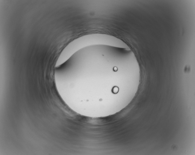 X0000112900336200909181941