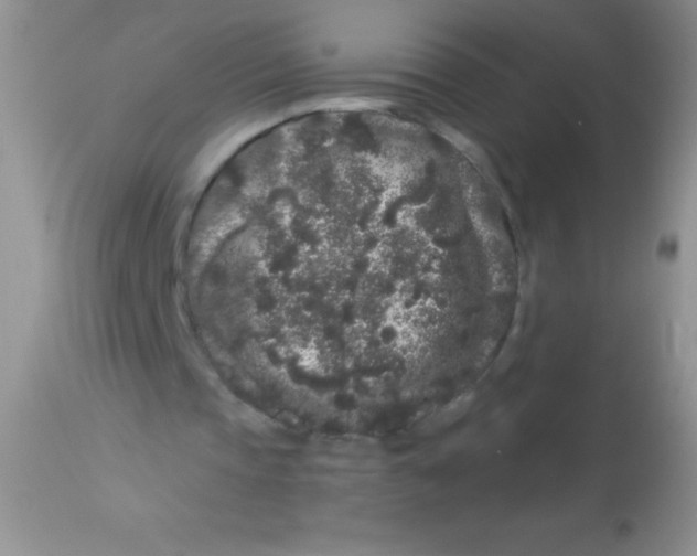 X0000112900337200909181940