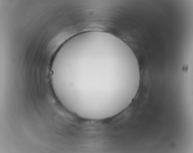 X0000112900338200909181940