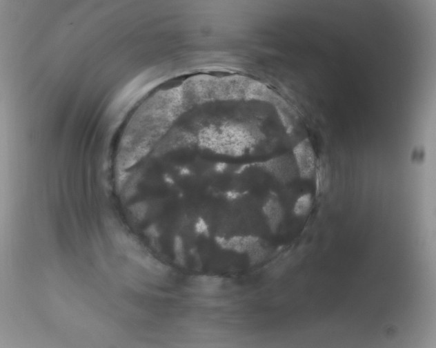 X0000112900339200909181940