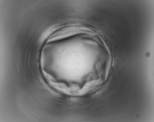 X0000112900341200909181940