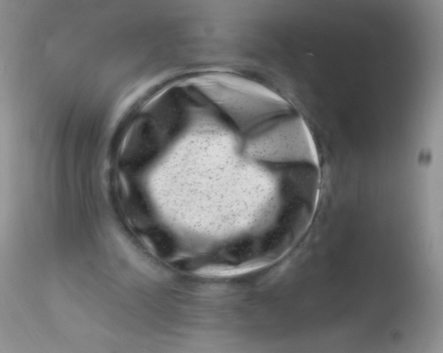 X0000112900342200909181940