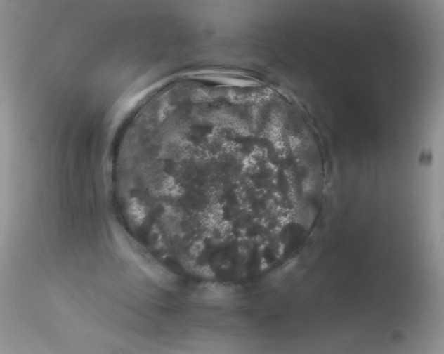 X0000112900343200909181940
