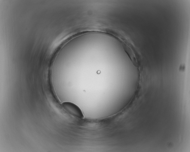 X0000112900344200909181940