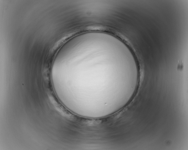 X0000112900345200909181940