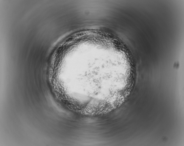 X0000112900346200909181940