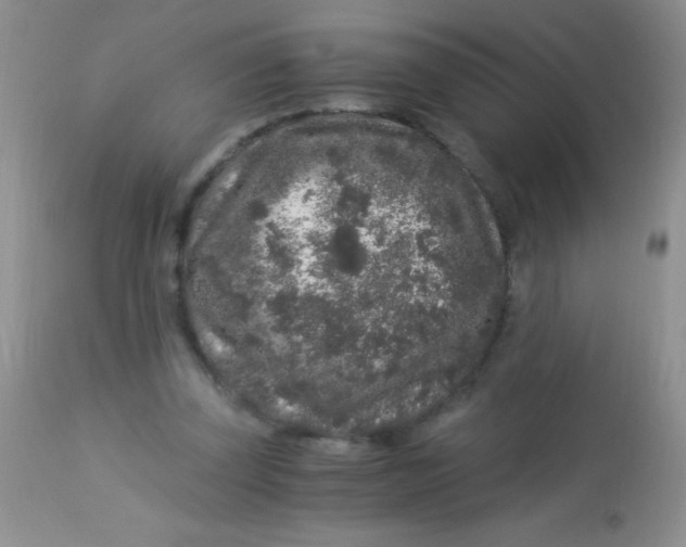 X0000112900347200909181940