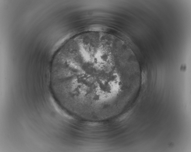 X0000112900349200909181941