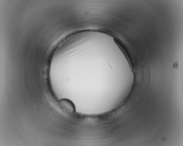 X0000112900350200909181941