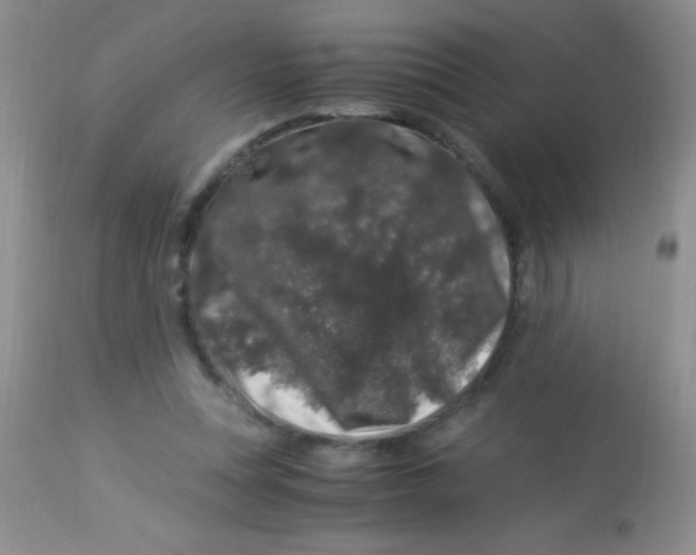 X0000112900351200909181941