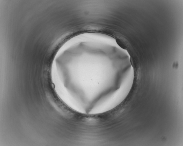 X0000112900352200909181941