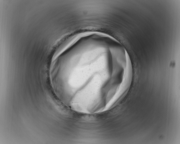 X0000112900354200909181941