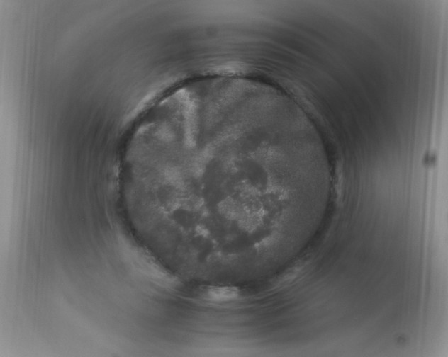 X0000112900355200909181941