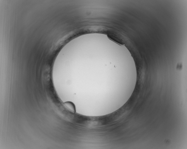 X0000112900356200909181941