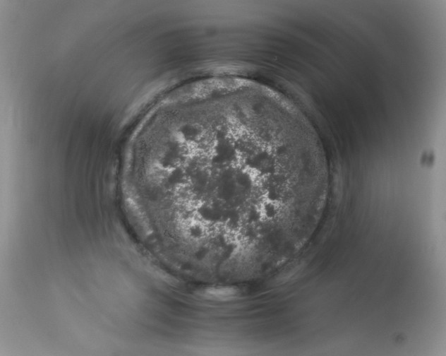 X0000112900357200909181941