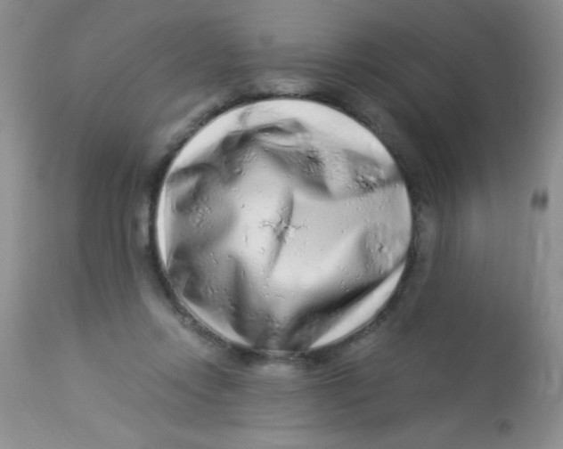 X0000112900358200909181941