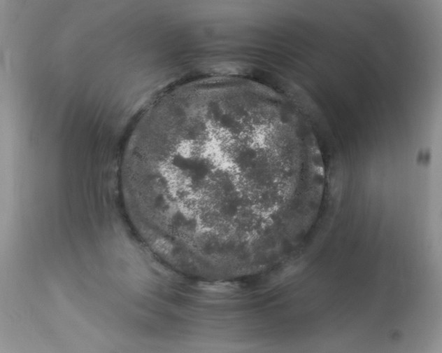 X0000112900359200909181941
