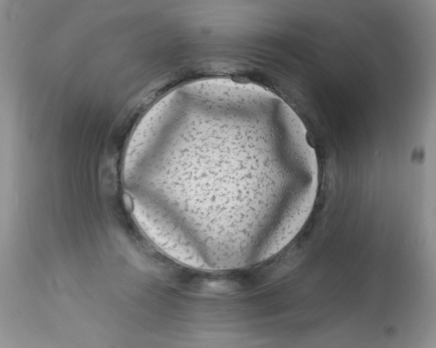 X0000112900360200909181941