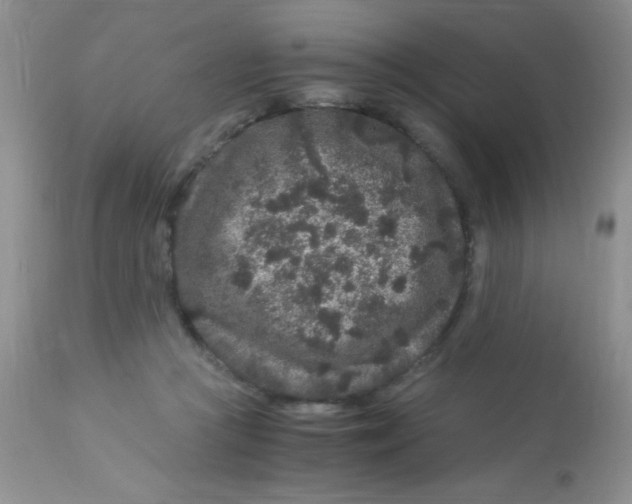 X0000112900361200909181941