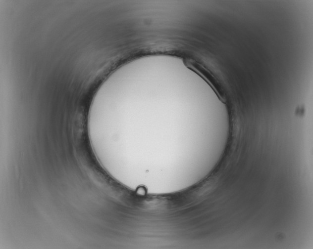X0000112900362200909181941
