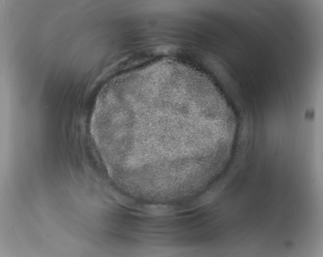 X0000112900363200909181941