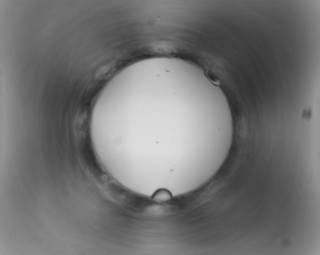 X0000112900364200909181941
