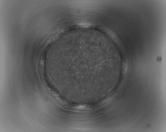 X0000112900365200909181941