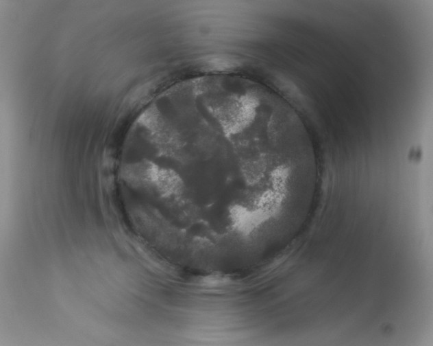 X0000112900366200909181941