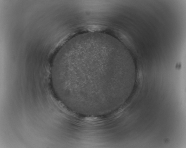 X0000112900367200909181941