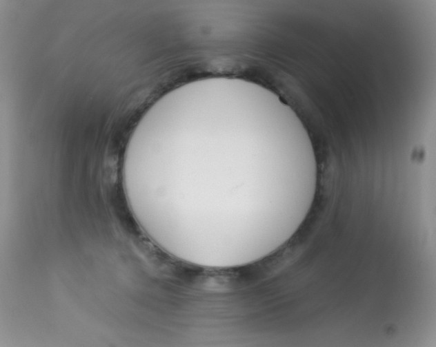 X0000112900368200909181941