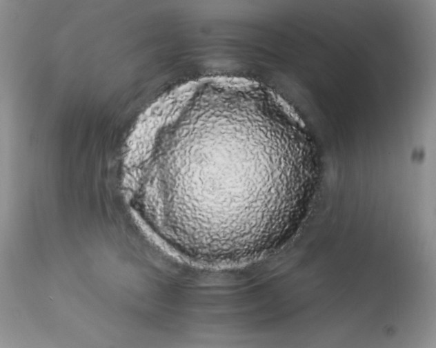 X0000112900369200909181941