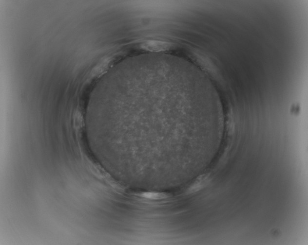 X0000112900371200909181941