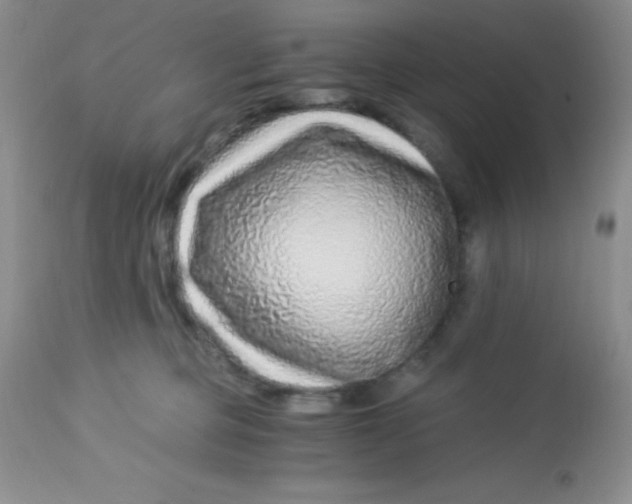 X0000112900373200909181941