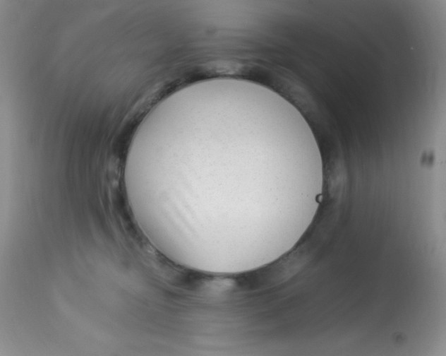X0000112900374200909181941