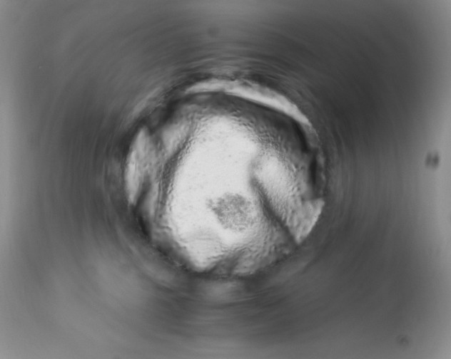X0000112900375200909181941