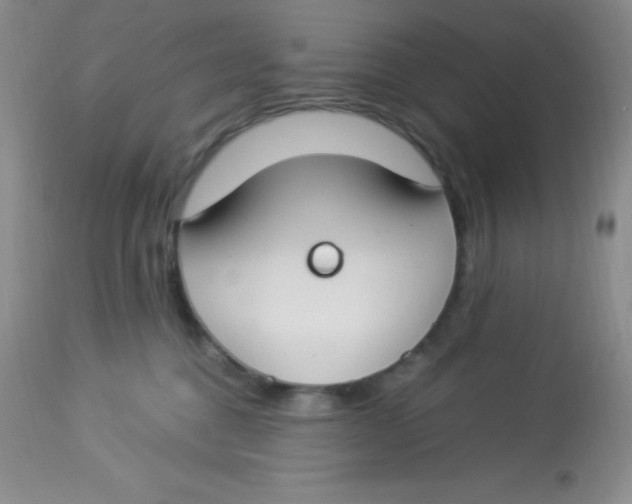 X0000112900376200909181941