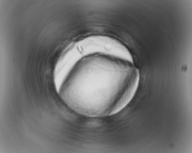 X0000112900377200909181941