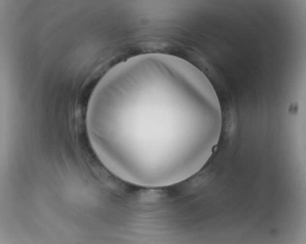 X0000112900378200909181941