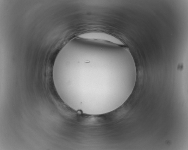 X0000112900379200909181941
