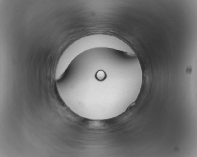 X0000112900380200909181941