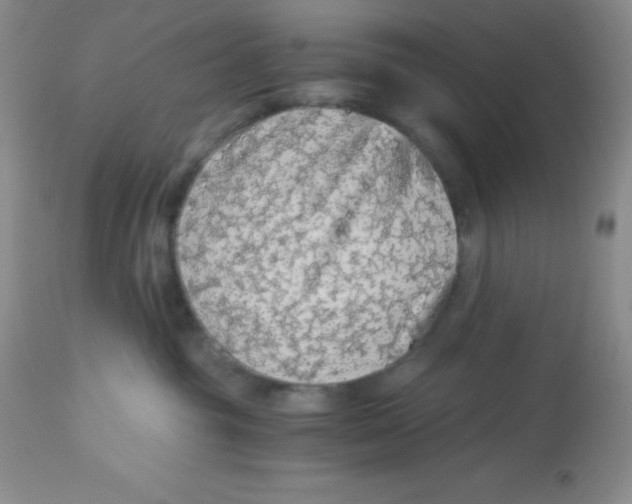 X0000112900381200909181941