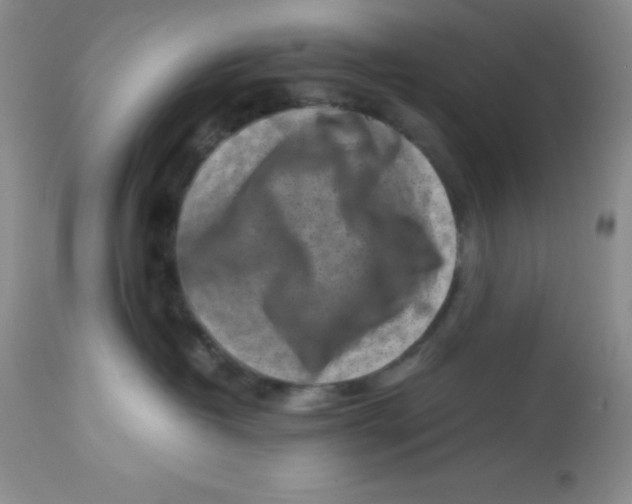 X0000112900382200909181941