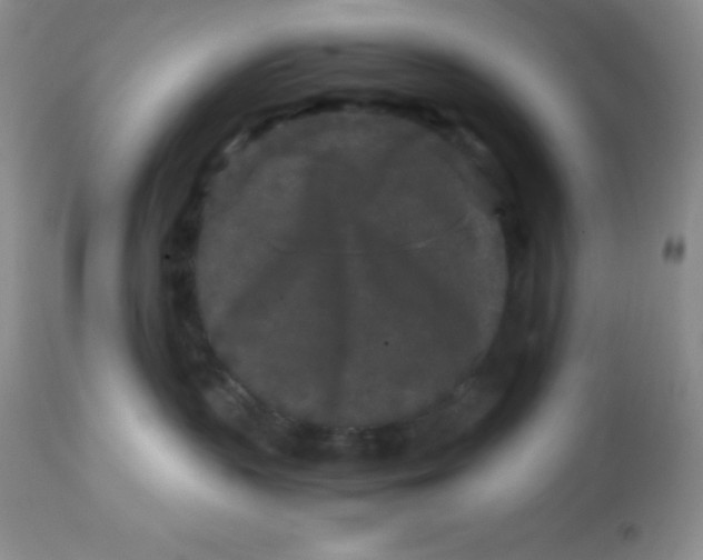 X0000112900383200909181941