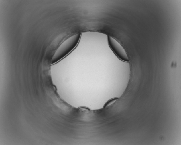 X0000112900384200909181941
